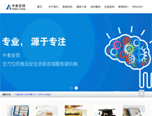 Tablet Screenshot of antionchina.com